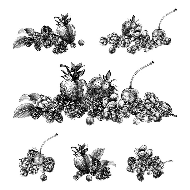 Desenhos em preto e branco com bagas desenhadas à mão
 - Vetor, Imagem