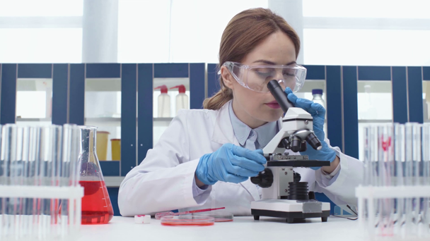 científica femenina en gafas usando pipeta con placas de Petri y mirando a través del microscopio durante el experimento con su colega en el fondo
 - Metraje, vídeo