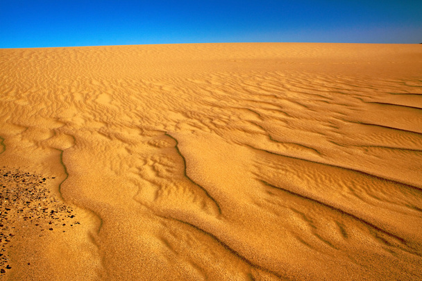 Colours of desert - Photo, Image