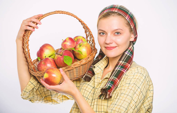 Vrouw dorpsbewoner voeren mand natuurlijke vruchten. Vrouw tuinman rustieke stijl houdt mand met appelen op witte achtergrond. Lady boer tuinman weet hoe koken veel recepten met appels. Cook Recept concept - Foto, afbeelding