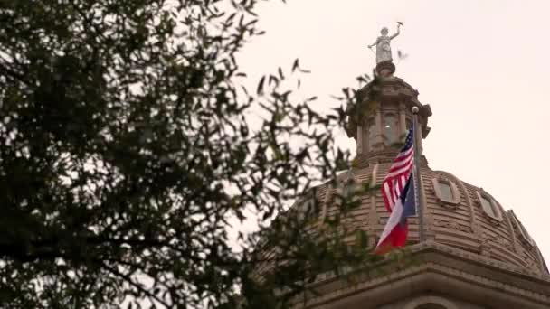 Texas vlag zwaaien in de wind - Video