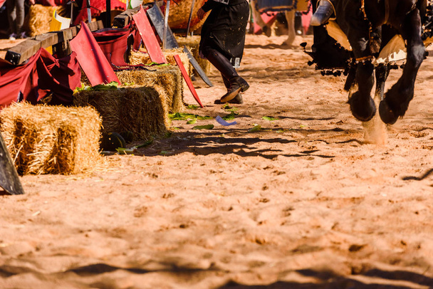 Detail der Beine galoppierender Pferde, die von Rittern während eines Festes als mittelalterliche Reittiere bestiegen wurden. - Foto, Bild