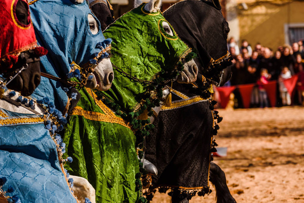 Detalle de las patas de los caballos galopantes adornados como monturas medievales montadas por caballeros durante un festival
. - Foto, imagen