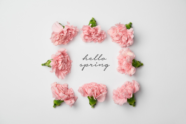 vue du dessus du cadre floral en oeillets roses sur fond blanc avec lettrage printemps bonjour
 - Photo, image