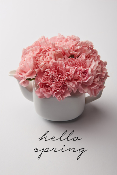 carnation-roze bloemen in witte theepot op grijze achtergrond met hello spring belettering - Foto, afbeelding