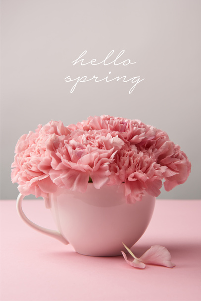 pink carnation flowers in cup on grey background with hello spring lettering - Fotó, kép
