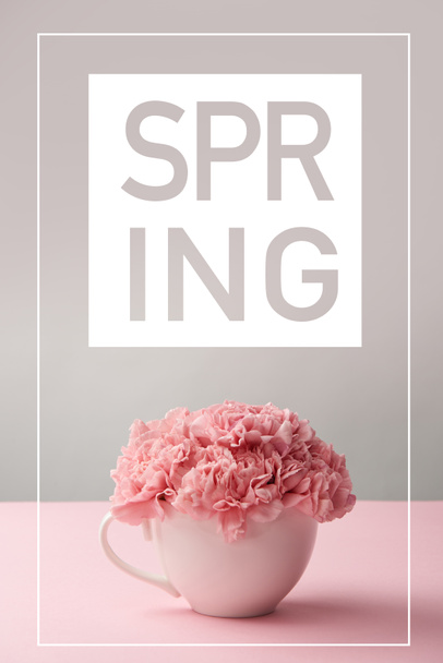 pink carnation flowers in white cup on grey background with spring lettering - Foto, imagen