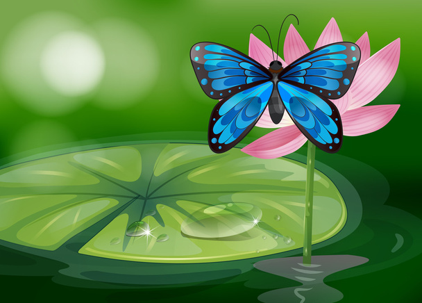 A blue butterfly and the pink flower at the pond - Vector, Image