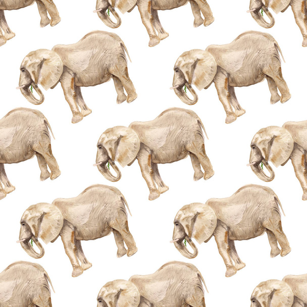 Seamless pattern with elephant - Photo, image
