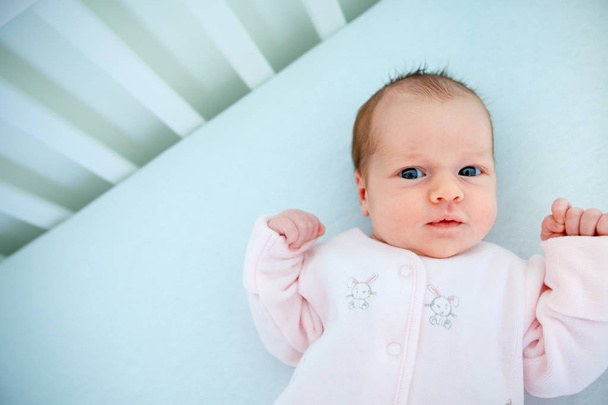 Cute two week old baby girl in cradle - 写真・画像