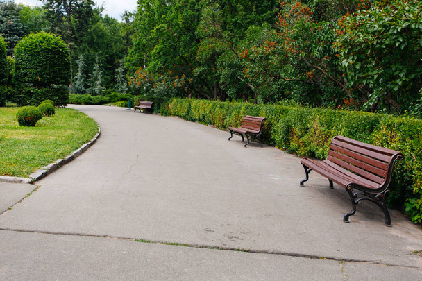 Beautiful old bench in batanical  garden park in summer - Φωτογραφία, εικόνα
