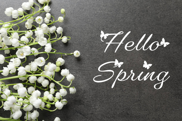Beautiful lily of valley flowers and text Hello Spring on color background, top view  - Foto, Imagem