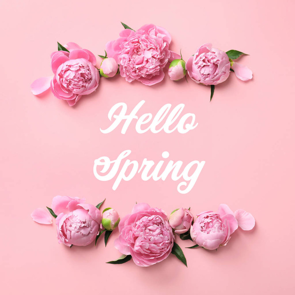 Flat lay composition of beautiful peony flowers and text Hello Spring on color background - Fotó, kép