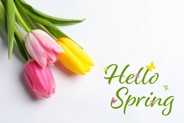 Beautiful flowers and text Hello Spring on white background, top view  - Fotografie, Obrázek