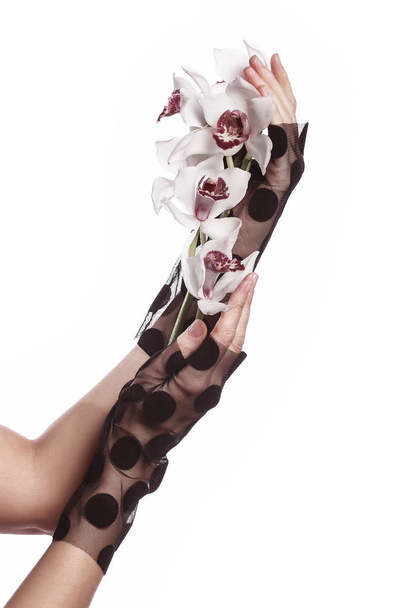 Όμορφα γυναικεία χέρια στα κομψά γάντια κρατώντας λουλούδι σε άσπρο φόντο. Εγκαταστάσεις σπα. - Φωτογραφία, εικόνα
