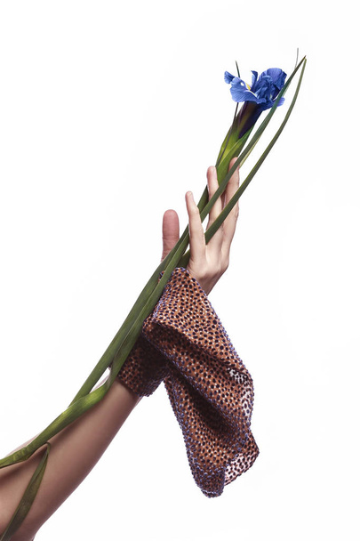 Piękna kobieta rękę w eleganckie rękawiczki, trzyma kwiat na białym tle. Zaplecze spa. - Zdjęcie, obraz