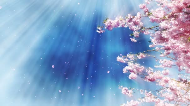 Η κινούμενη εικόνα της Sakura Tree και του Blue Sky - Πλάνα, βίντεο