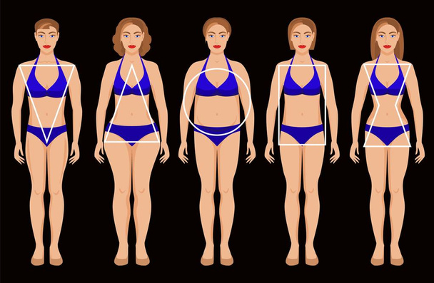 five types of female figures - Вектор,изображение