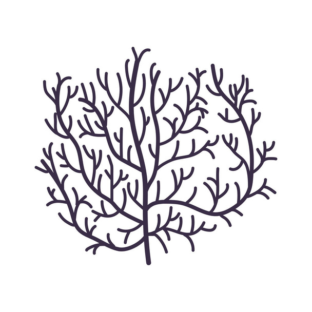 Φύκια, Ocean Coral, θαλάσσιο ή ενυδρείο υποβρύχιο φυτό εικονογράφηση διάνυσμα - Διάνυσμα, εικόνα