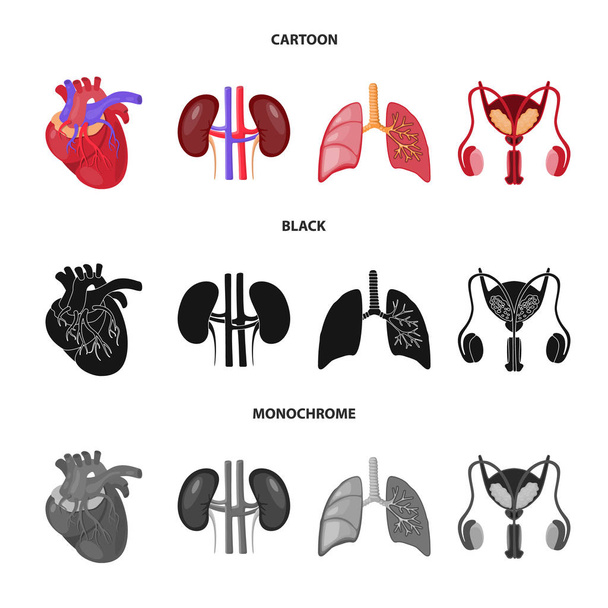 Vector illustration of biology and scientific icon. Set of biology and laboratory stock vector illustration. - Вектор,изображение