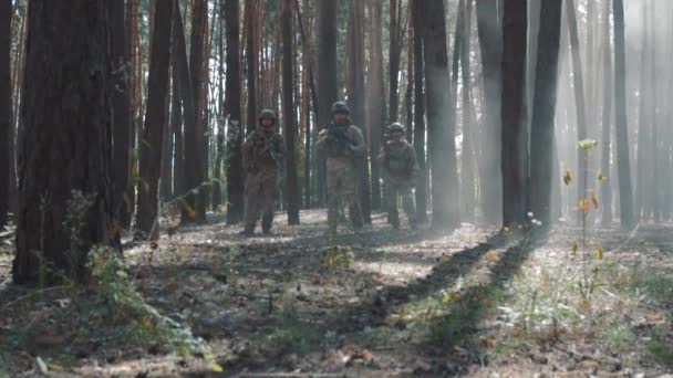 American soldiers patrol the perimeter in the forest - Footage, Video
