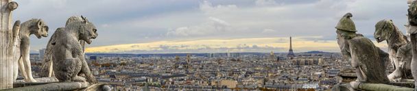 Chimaera (waterspuwers) op de kathedraal van Notre Dame de Paris met uitzicht op Parijs panorama, Frankrijk. Focus op de sculpturen, wazig stad. Perfecte achtergrond voor het ontwerp of tekst - Foto, afbeelding