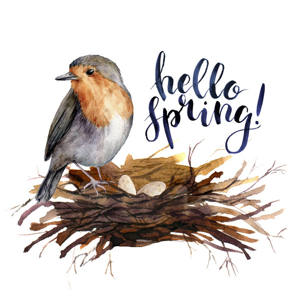 Watercolor lettering Hello spring bird card. Hand painted illustration with robin in the nest isolated on white background. Illustration for design, print, background. - Photo, Image