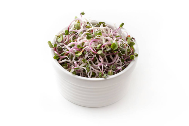 Fresh pink radish sprouts in a bowl on a white background - Photo, Image