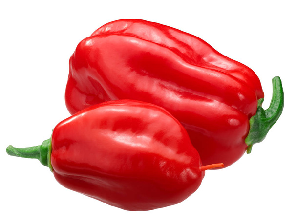 Zavory Habanero chile pepper (Capsicum chinense foods) - Фото, зображення
