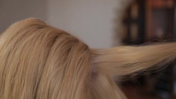 Cabeleireiro menina bonita faz um corte de cabelo elegante
 - Filmagem, Vídeo
