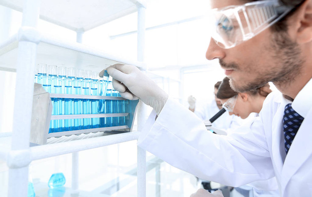 side view of focused scientist holding test tube in laboratory - Zdjęcie, obraz