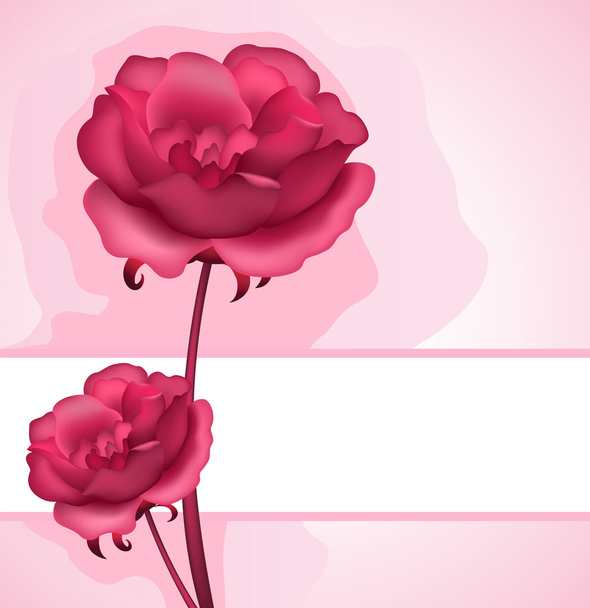 Rose background - Vector, Image