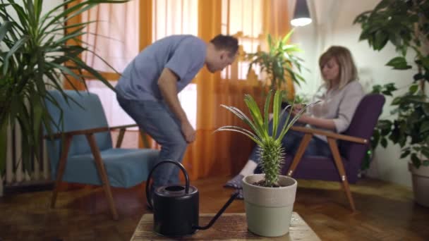homme arrosage et pulvérisation plante dans la maison moderne femme lecture de la tablette
 - Séquence, vidéo