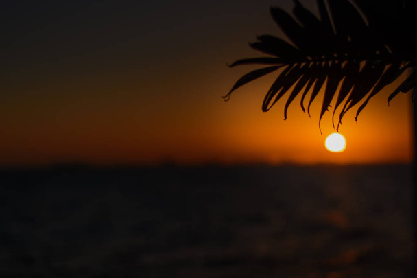 Ηλιοβασίλεμα στην Καραϊβική Θάλασσα. Πορτοκαλί αποχρώσεις. - Φωτογραφία, εικόνα