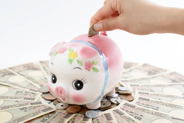 Close up of woman hand with a  piggy bank - Photo, Image