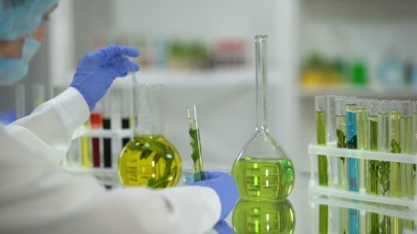 Biochimiste goutte à goutte extrait de plante huileuse de la fiole pour tester les ressources naturelles du tube
 - Séquence, vidéo
