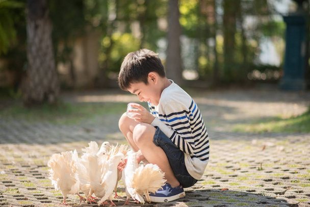 Маленький хлопчик годує пташеня їжею
 - Фото, зображення