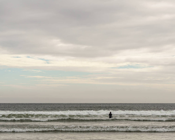 TOFINO, CANADA - 2 settembre 2018: surfista o cavaliere d'onda che tiene la tavola da surf sullo sfondo dell'oceano
 - Foto, immagini
