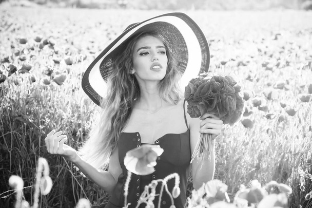 woman in field of poppy seed in retro hat - Photo, Image