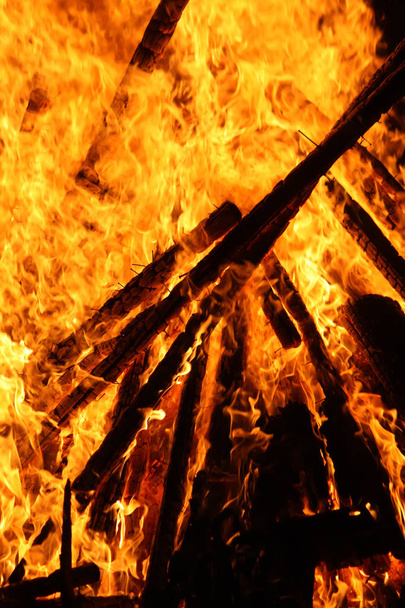 Bright bonfire flame outdoors. Firewood and wooden sticks burning in fire. - Photo, Image