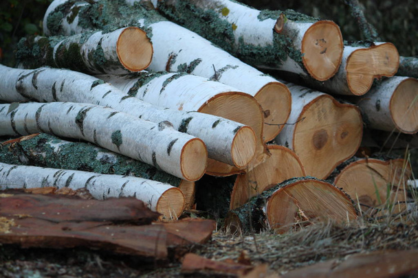 Brennholz Hintergrund - gehäckseltes Brennholz auf einem Stapel - Foto, Bild