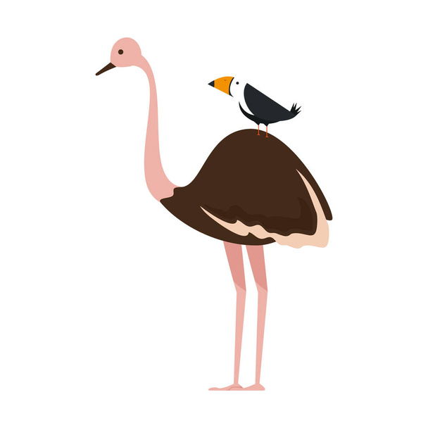 avestruz salvaje carácter de ave
 - Vector, Imagen