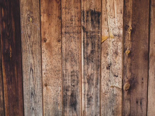 old rustic wood with mold or fungal on top background texture - Photo, Image