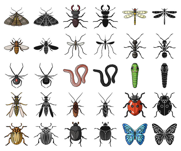Different kinds of insects cartoon,black icons in set collection for design. Insect arthropod vector symbol stock web illustration. - Vektör, Görsel