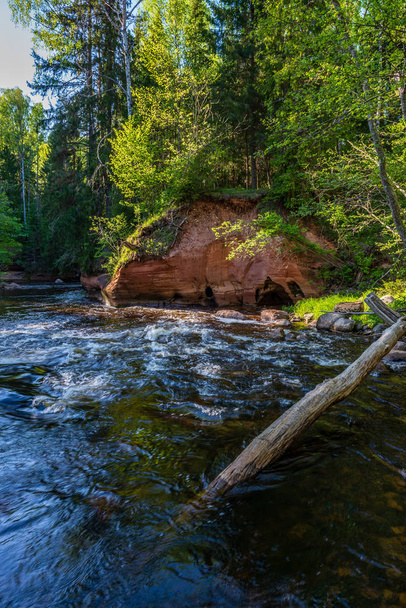 falésias de arenito na margem do rio da floresta no dia ensolarado de verão com sombras duras e árvores na floresta
 - Foto, Imagem