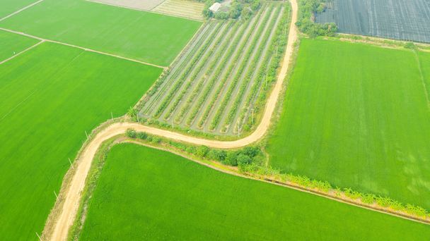 Вид сверху с воздуха на зеленые сельскохозяйственные территории
 - Фото, изображение