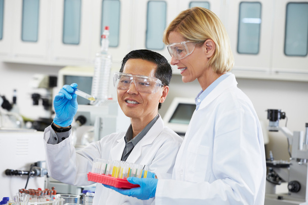 実験室で働いている男性と女性の科学者 - 写真・画像