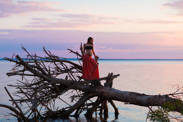Pregnant woman standing on a fallen tree roots in the sea - Фото, изображение