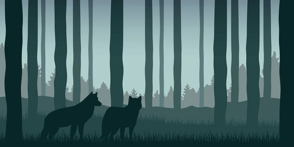 два волка в зеленом лесу дикая природа пейзаж
 - Вектор,изображение