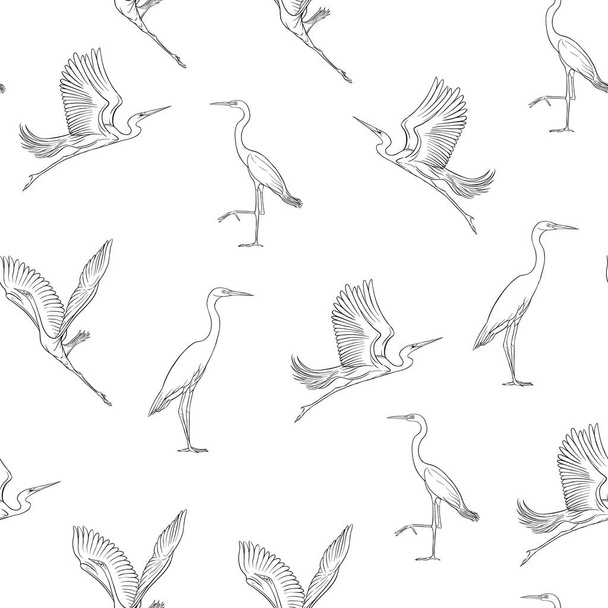 Seamless pattern, background with tropical birds. White heron, cockatoo parrot. Outline hand drawing vector illustration - Vektor, Bild